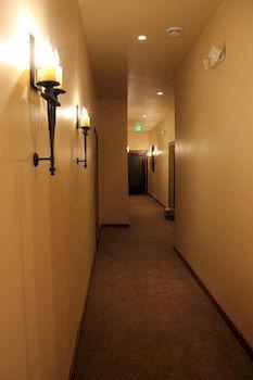 The Williston Boutique Hotel Buitenkant foto